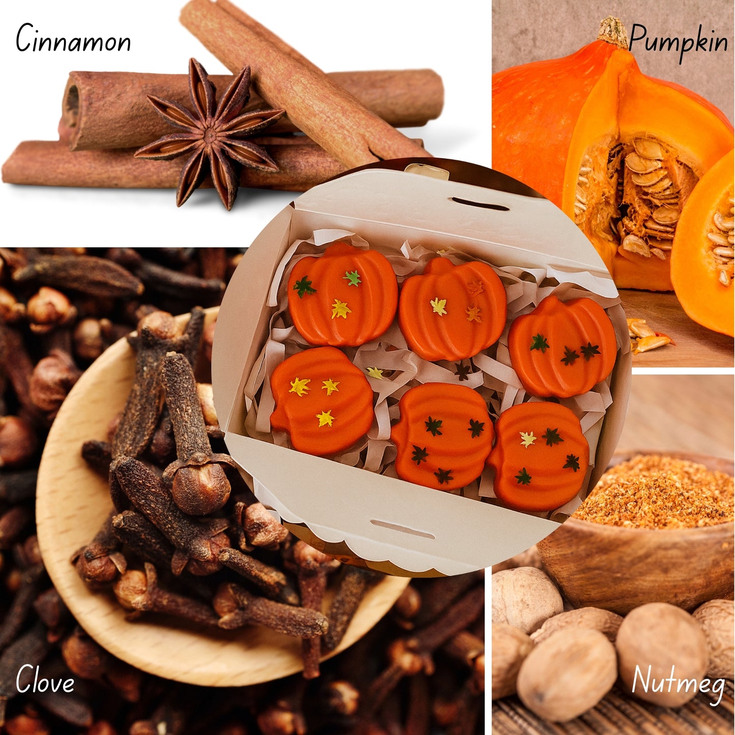 Handmade Soy Pumpkin shape Wax Melts