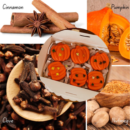 Handmade Soy Pumpkin shape Wax Melts